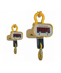 Crane Scales